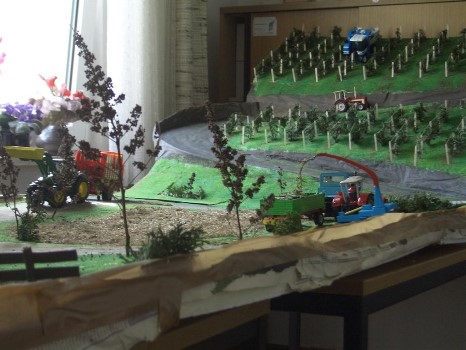 ../Images/tim (21) (Large).jpg